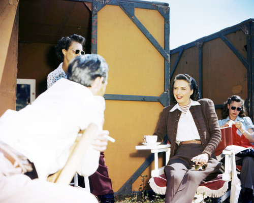 Picture of Barbara Stanwyck