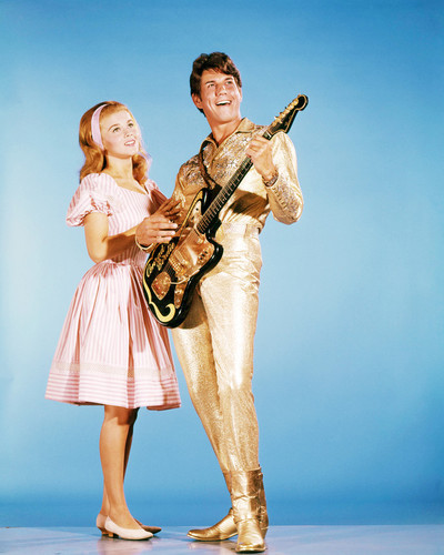 Picture of Bye Bye Birdie