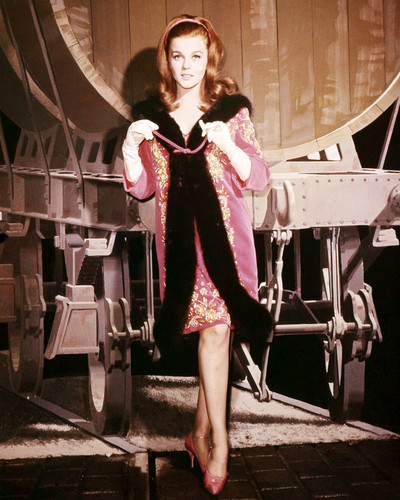 Picture of Ann-Margret