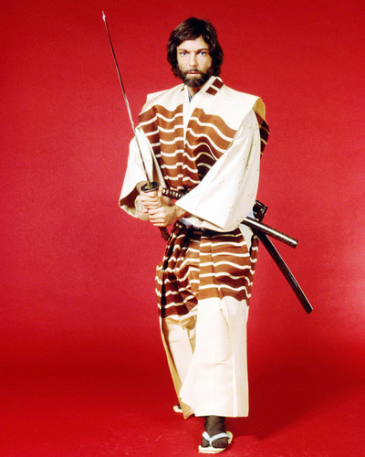 Picture of Richard Chamberlain in Shogun