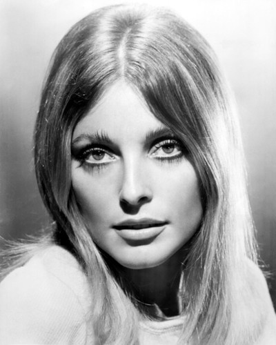 Picture of Sharon Tate