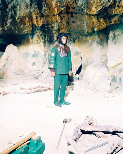 Picture of Planet of the Apes