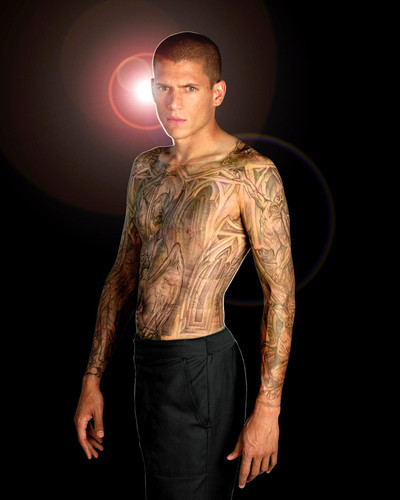 Picture of Wentworth Miller