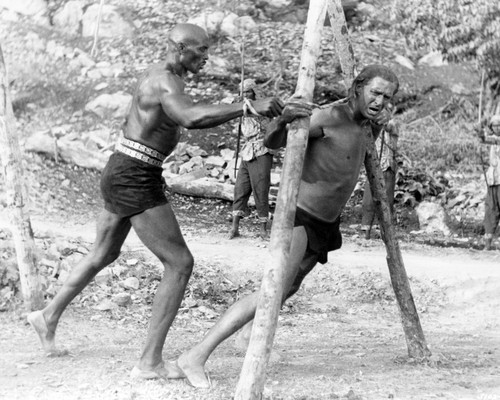 Picture of Jock Mahoney in Tarzan the Magnificent
