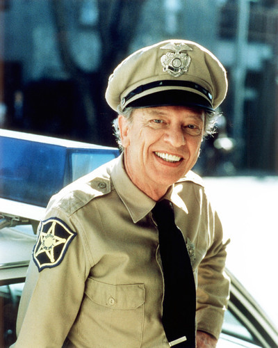 Picture of Don Knotts in The Andy Griffith Show