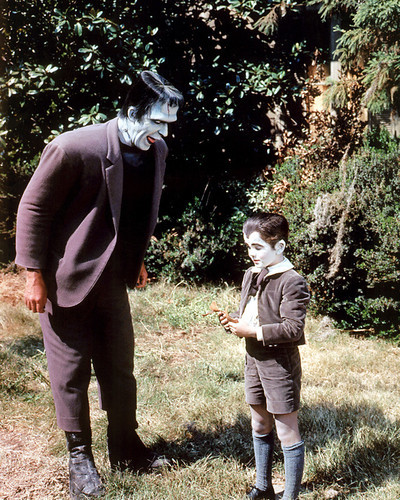 Picture of The Munsters