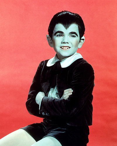 Picture of The Munsters