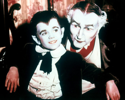 Picture of The Munsters