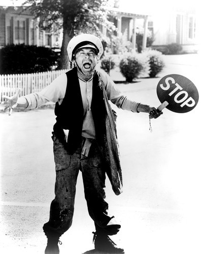 Picture of The Andy Griffith Show
