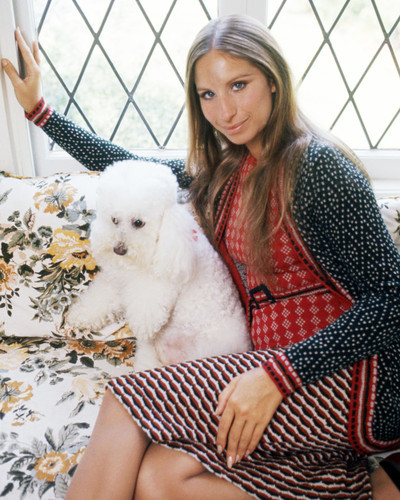 Picture of Barbra Streisand
