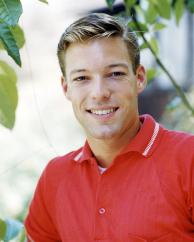 Picture of Richard Chamberlain