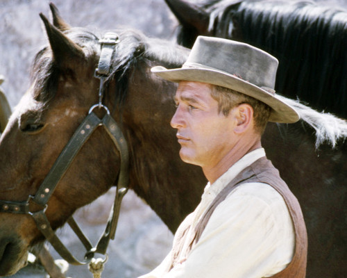 Picture of Paul Newman in Butch Cassidy and the Sundance Kid