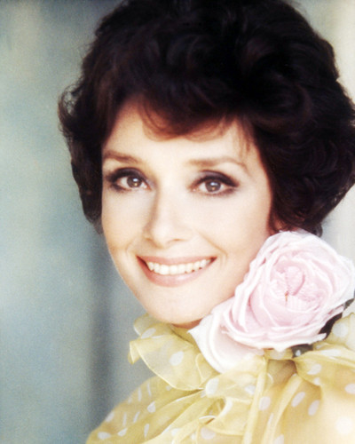 Picture of Audrey Hepburn