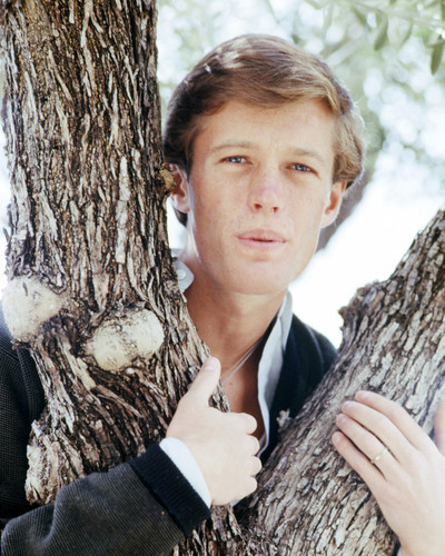 Picture of Peter Fonda
