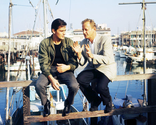 Picture of Alain Delon
