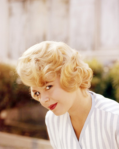 Picture of Sandra Dee