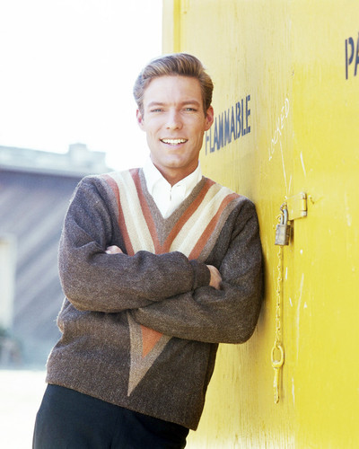 Picture of Richard Chamberlain