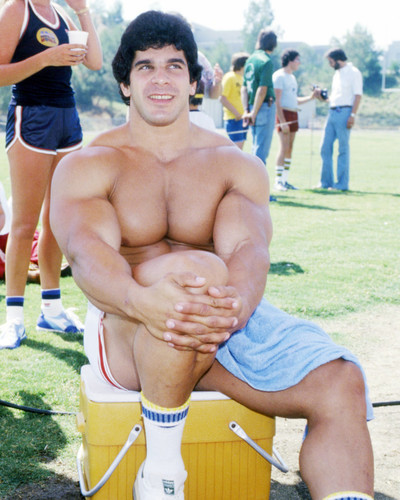 Picture of Lou Ferrigno