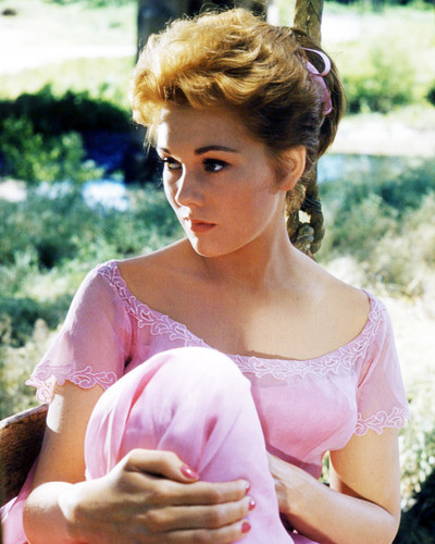 Picture of Kim Novak in Picnic