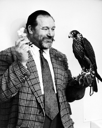 Picture of James Robertson Justice