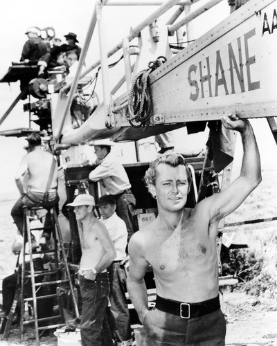 Picture of Alan Ladd in Shane