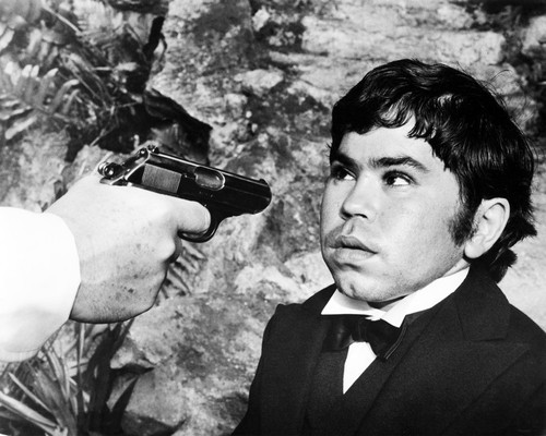 Picture of Hervé Villechaize