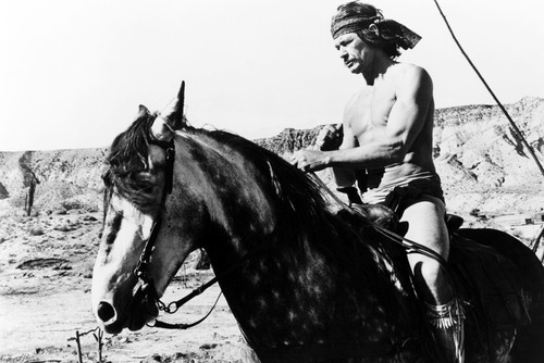 Picture of Charles Bronson in Chato's Land