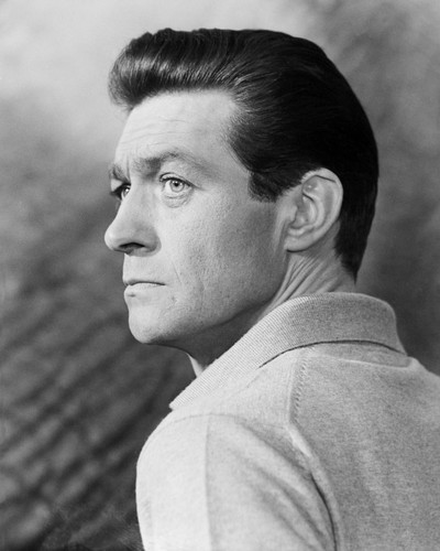 Picture of Maurice Kaufmann