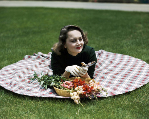 Picture of Olivia de Havilland