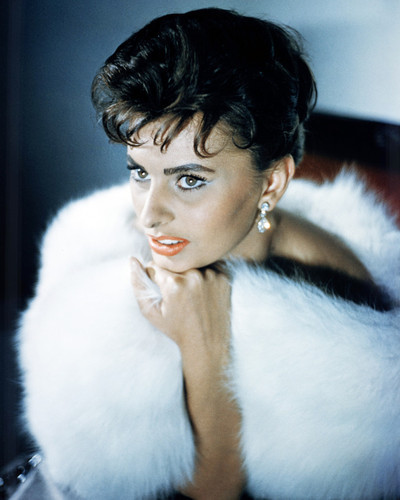 Picture of Sophia Loren