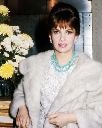 Picture of Gina Lollobrigida