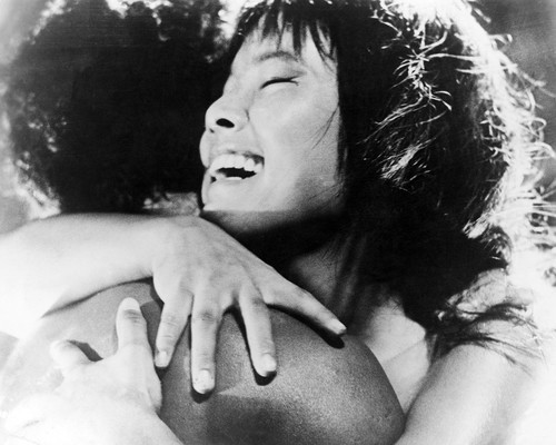 Picture of Onibaba