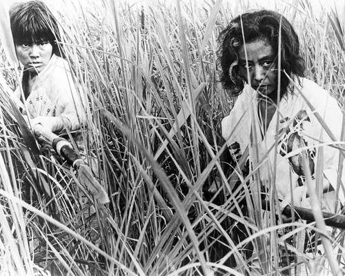 Picture of Onibaba