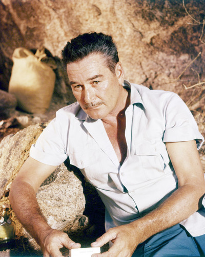 Picture of Errol Flynn