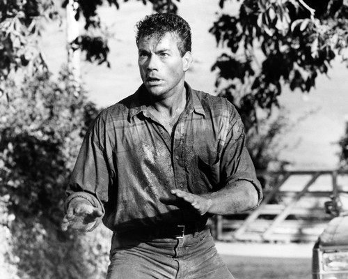 Picture of Jean-Claude Van Damme