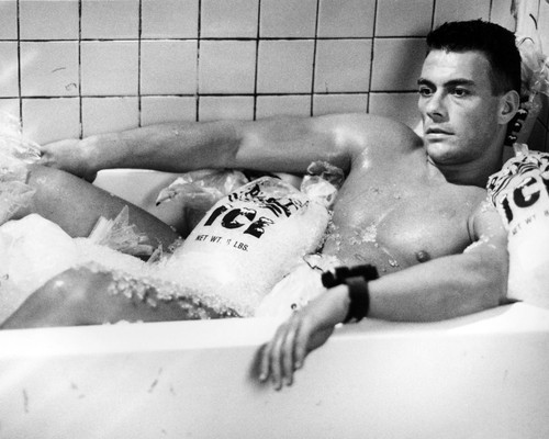 Picture of Jean-Claude Van Damme