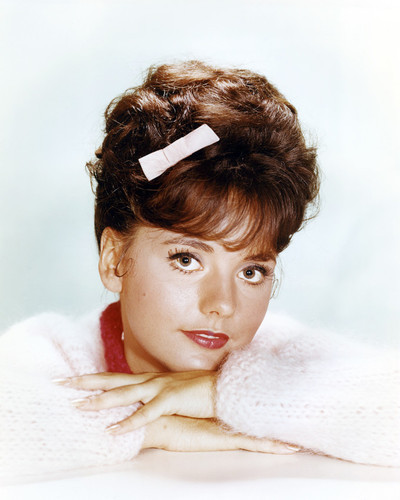 Picture of Dawn Wells