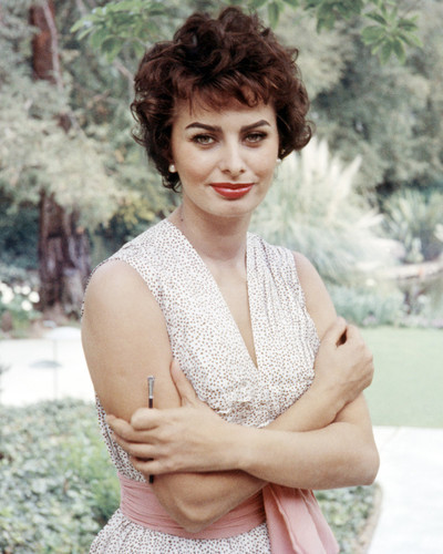 Picture of Sophia Loren