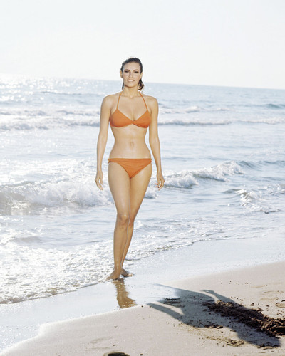 Picture of Raquel Welch