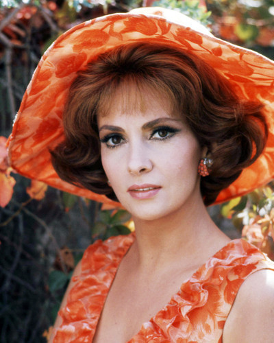 Picture of Gina Lollobrigida