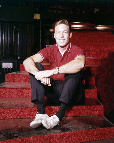 Picture of Richard Chamberlain