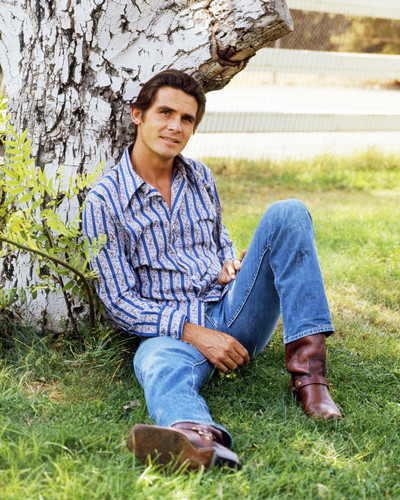 Picture of James Brolin