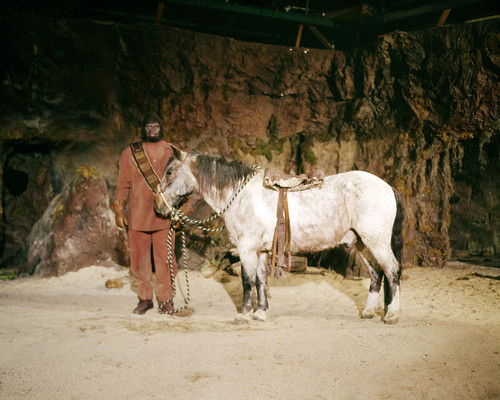 Picture of Planet of the Apes