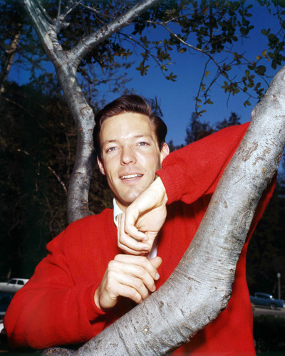 Picture of Richard Chamberlain