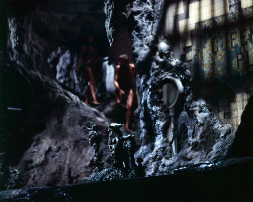 Picture of Planet of the Apes