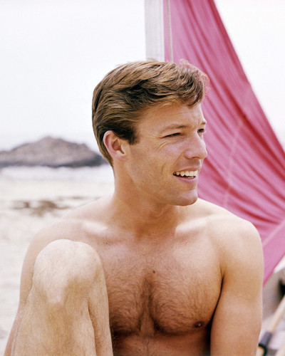 Picture of Richard Chamberlain