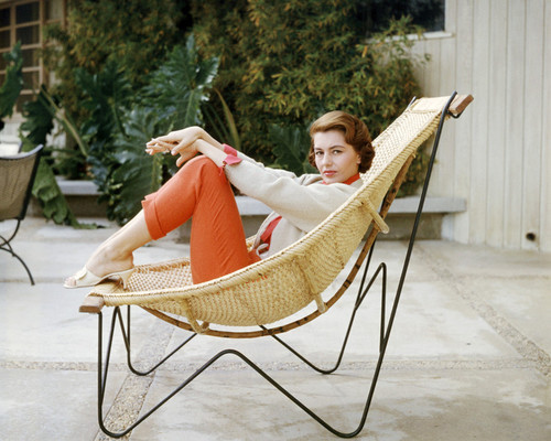 Picture of Cyd Charisse