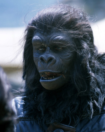 Picture of Planet of the Apes