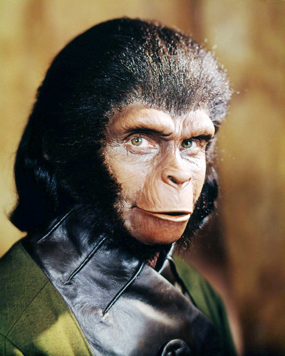 Picture of Planet of the Apes
