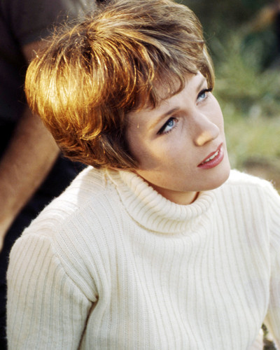 Picture of Julie Andrews in Torn Curtain